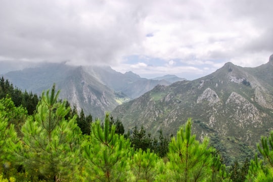 green trees beside mountain at daytime in Asturias Spain