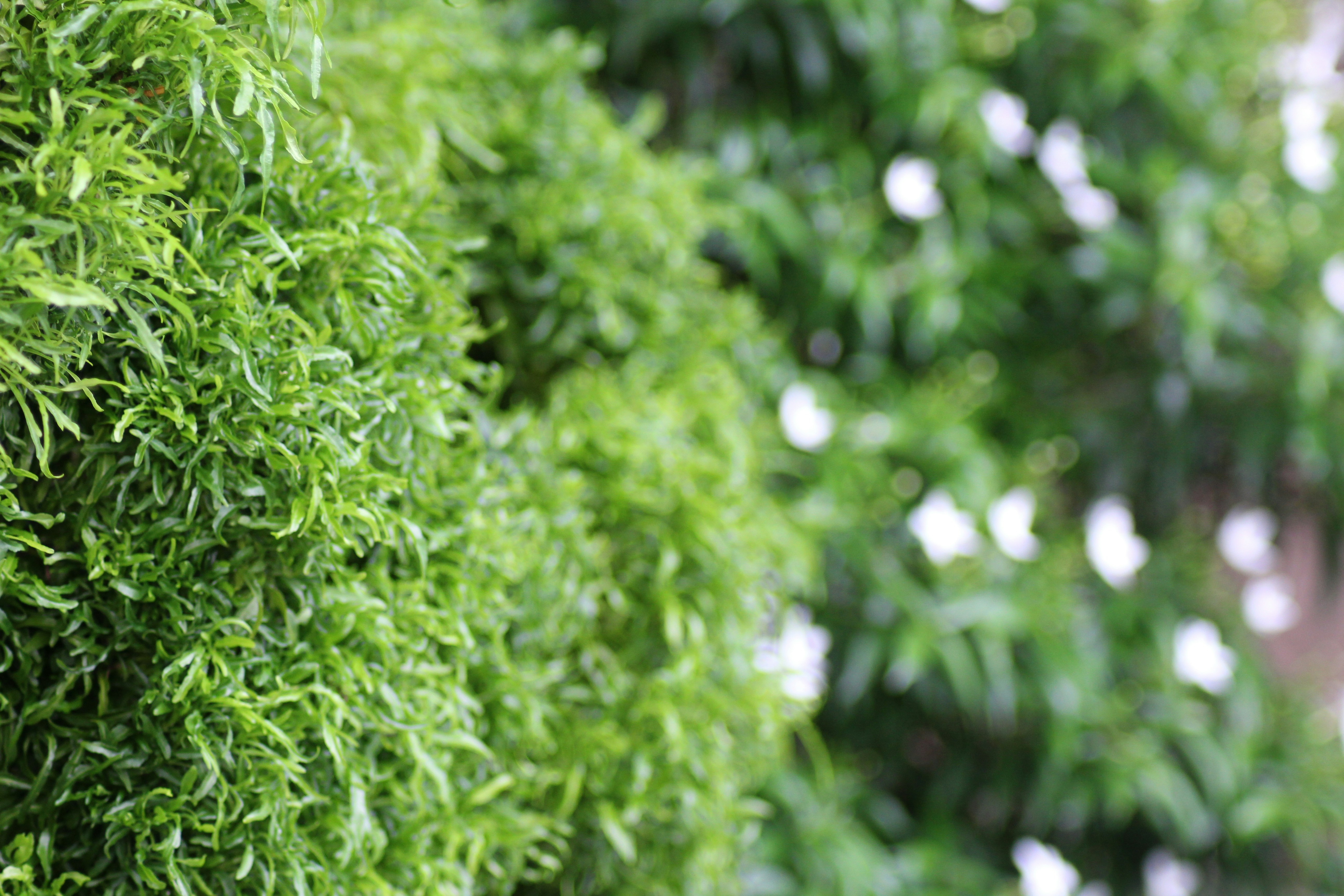 Photo by jadhav24omkar