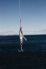 Fishing flies and lures