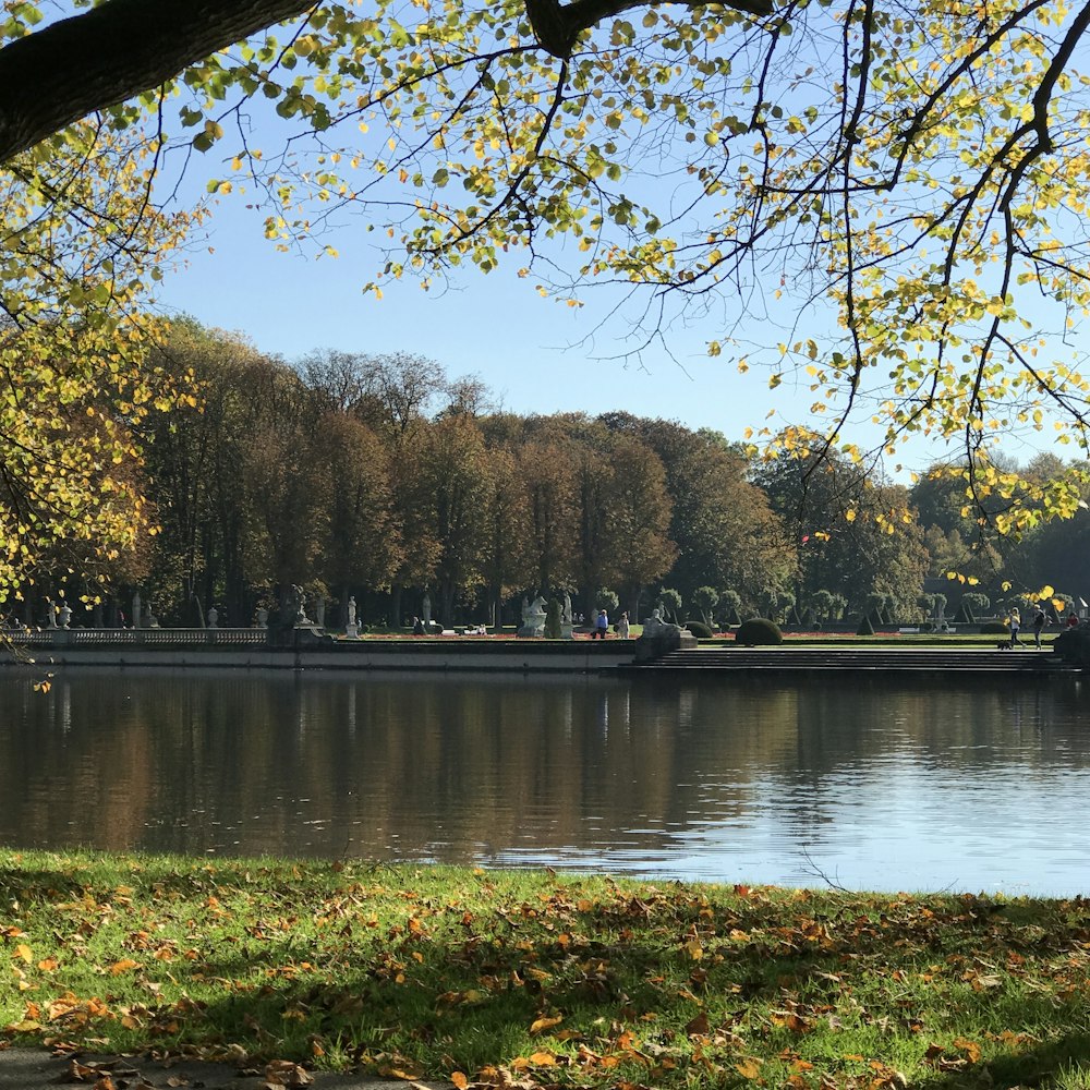 calm body of water during daytime