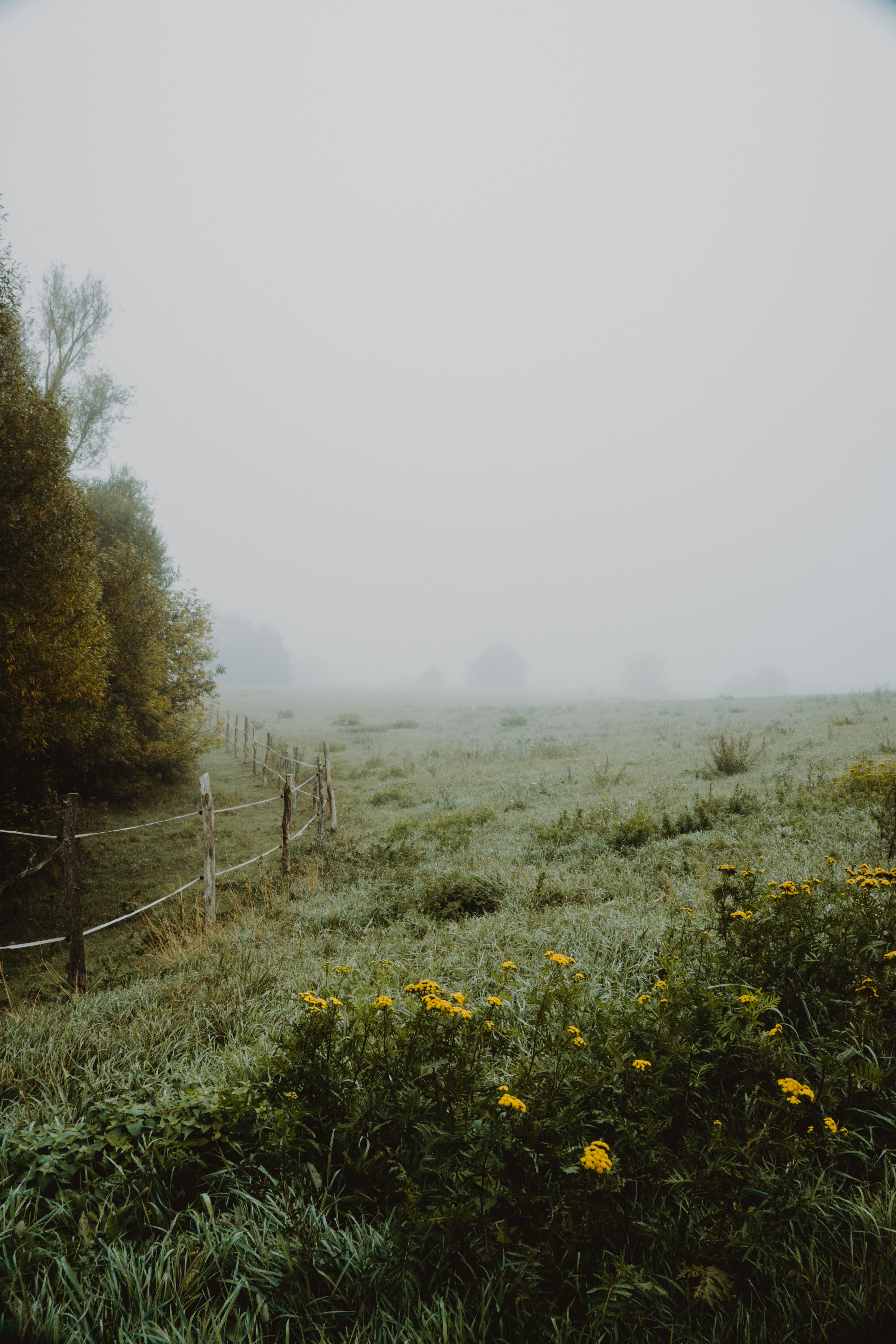 Photo by marinareich