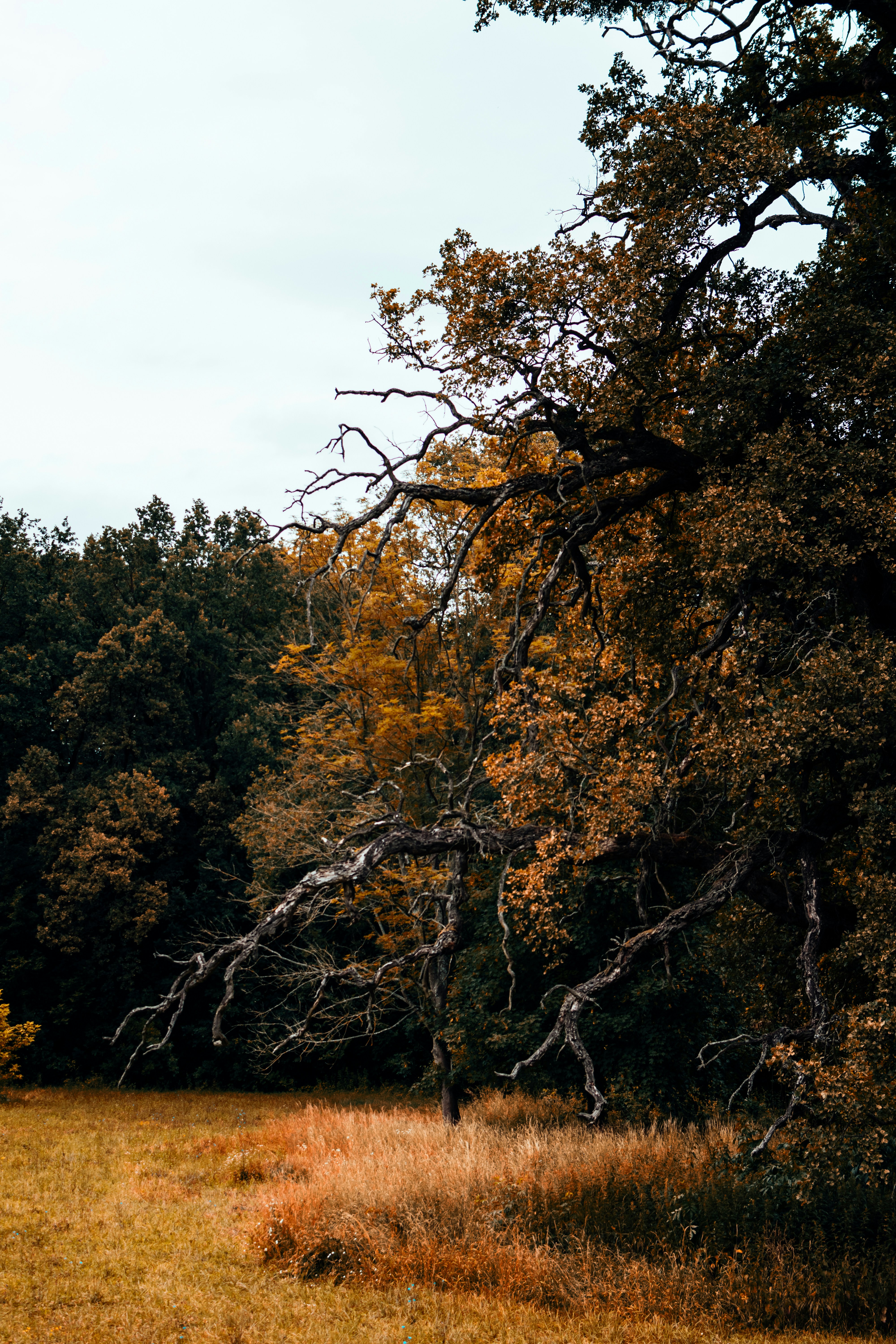 Photo by vmxhu