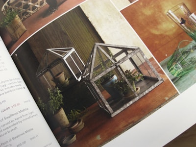 The image displays a rustic, home-themed catalog featuring small decorative glass terrariums on a wooden table. Each terrarium houses succulent plants. There are assorted small pots around the terrariums, and a glass with a floral design is visible to the side. The scene has a natural and earthy ambiance.