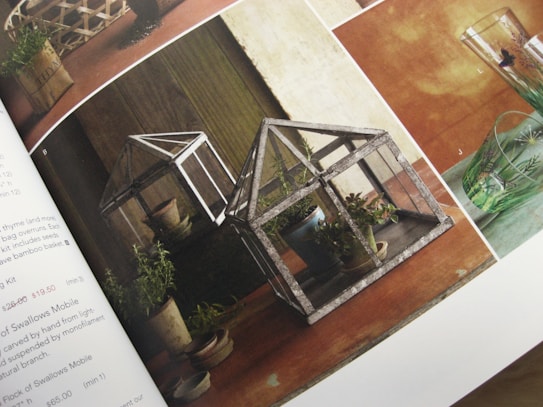The image displays a rustic, home-themed catalog featuring small decorative glass terrariums on a wooden table. Each terrarium houses succulent plants. There are assorted small pots around the terrariums, and a glass with a floral design is visible to the side. The scene has a natural and earthy ambiance.