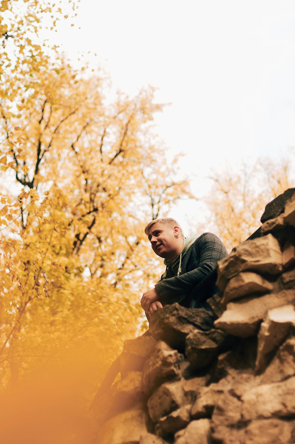 man wears black jacket sitting near yellow-leafed tree