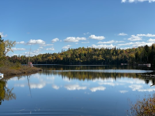 lac Walfred things to do in Saint-Faustin-Lac-Carré