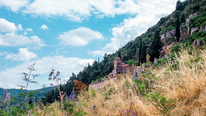A scenic landscape featuring a hillside with lush greenery and scattered ancient ruins. Weathered stone structures and a small dome are nestled among tall cypress trees. The foreground is covered with dry grass and wildflowers, under a partially cloudy blue sky.