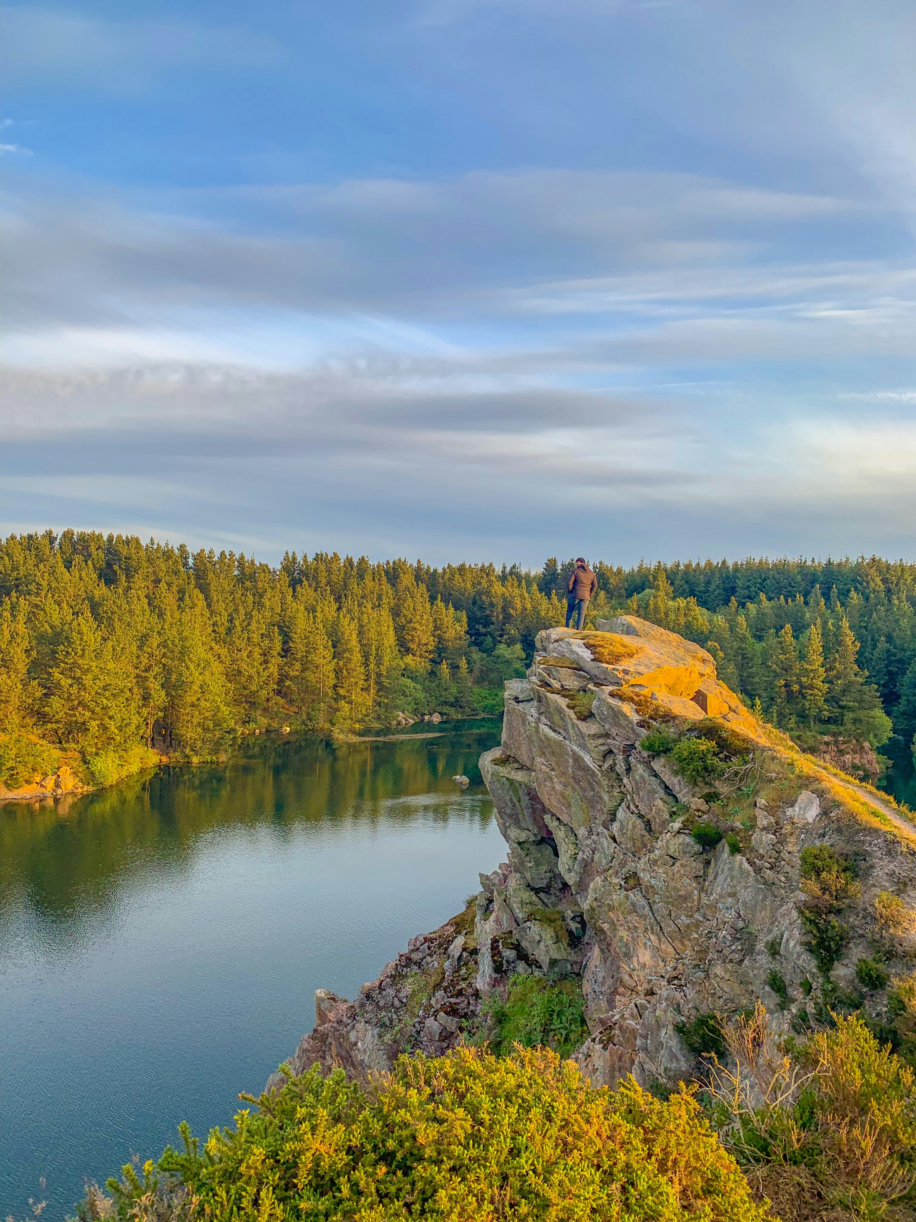 árboles verdes junto a un cuerpo de agua tranquilo durante el día