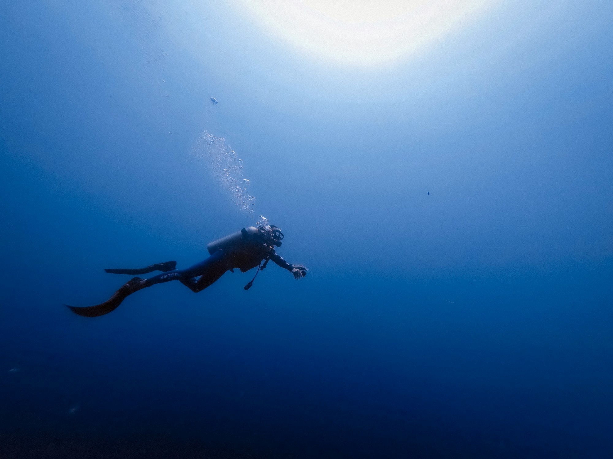 This Diver Has Close Encounter