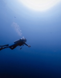 person swimming under water photography