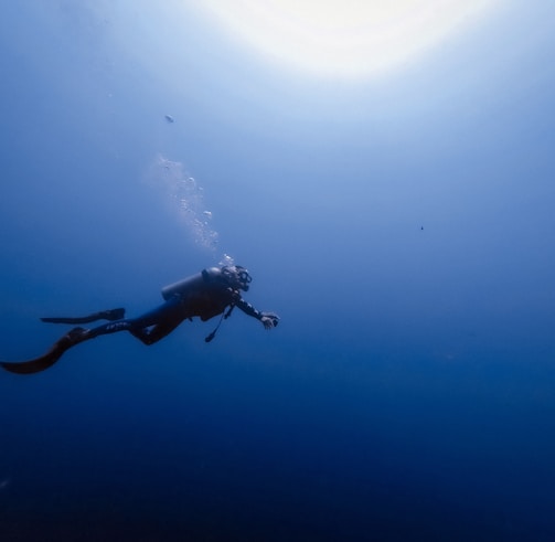 person swimming under water photography