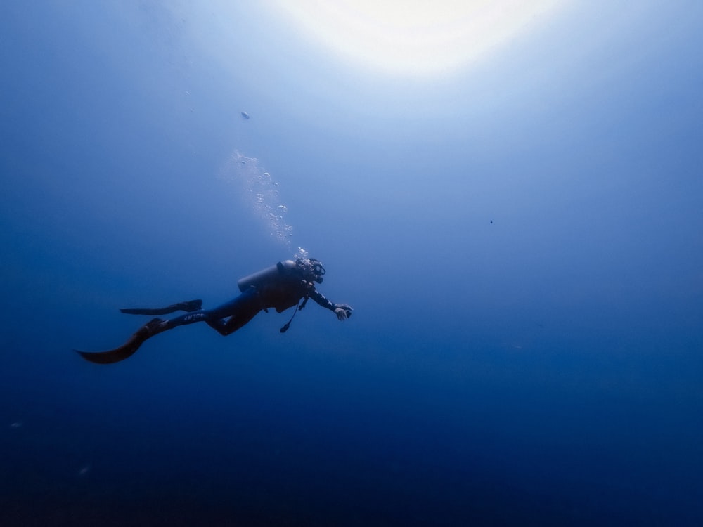 person swimming under water photography