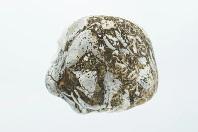 Polished flint pieces showcasing smooth surfaces and subtle color variations.