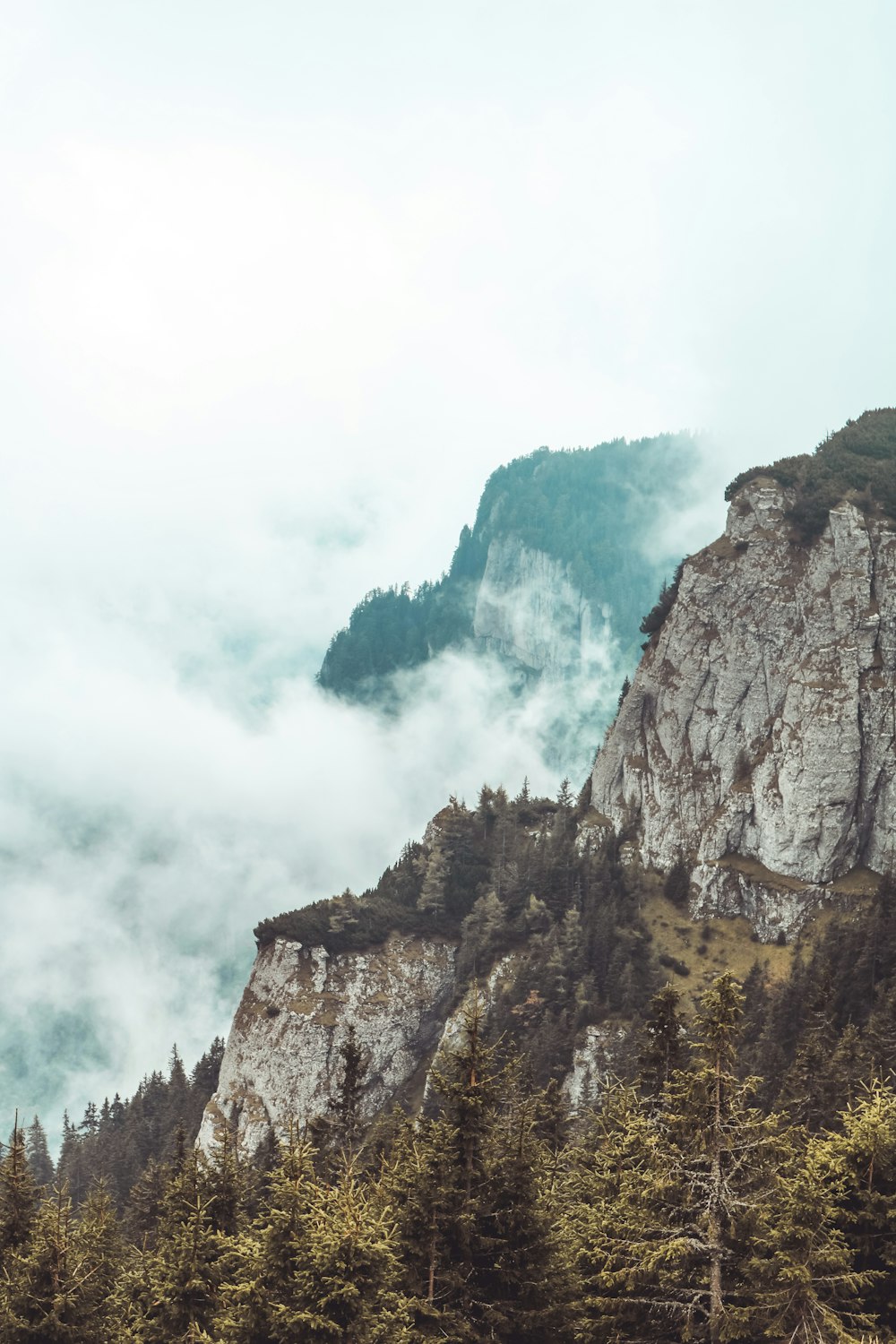 rocky mountain beside trees