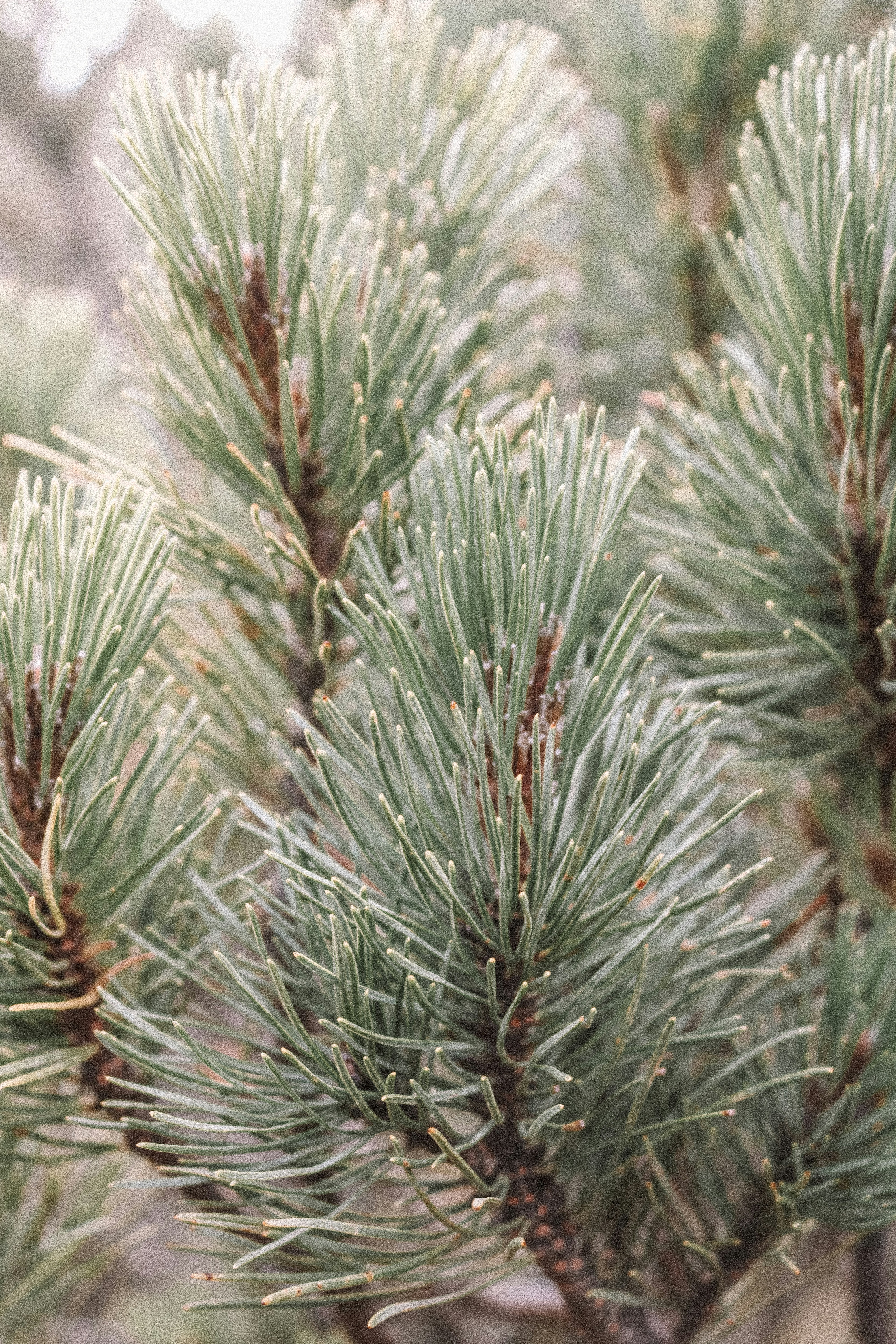 Photo by emilia_morariu