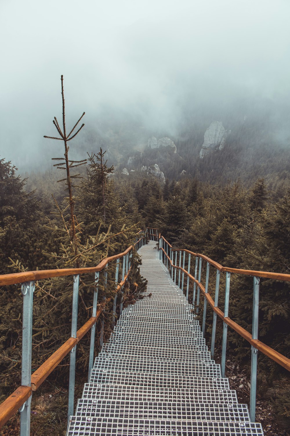 brown and grey stairs