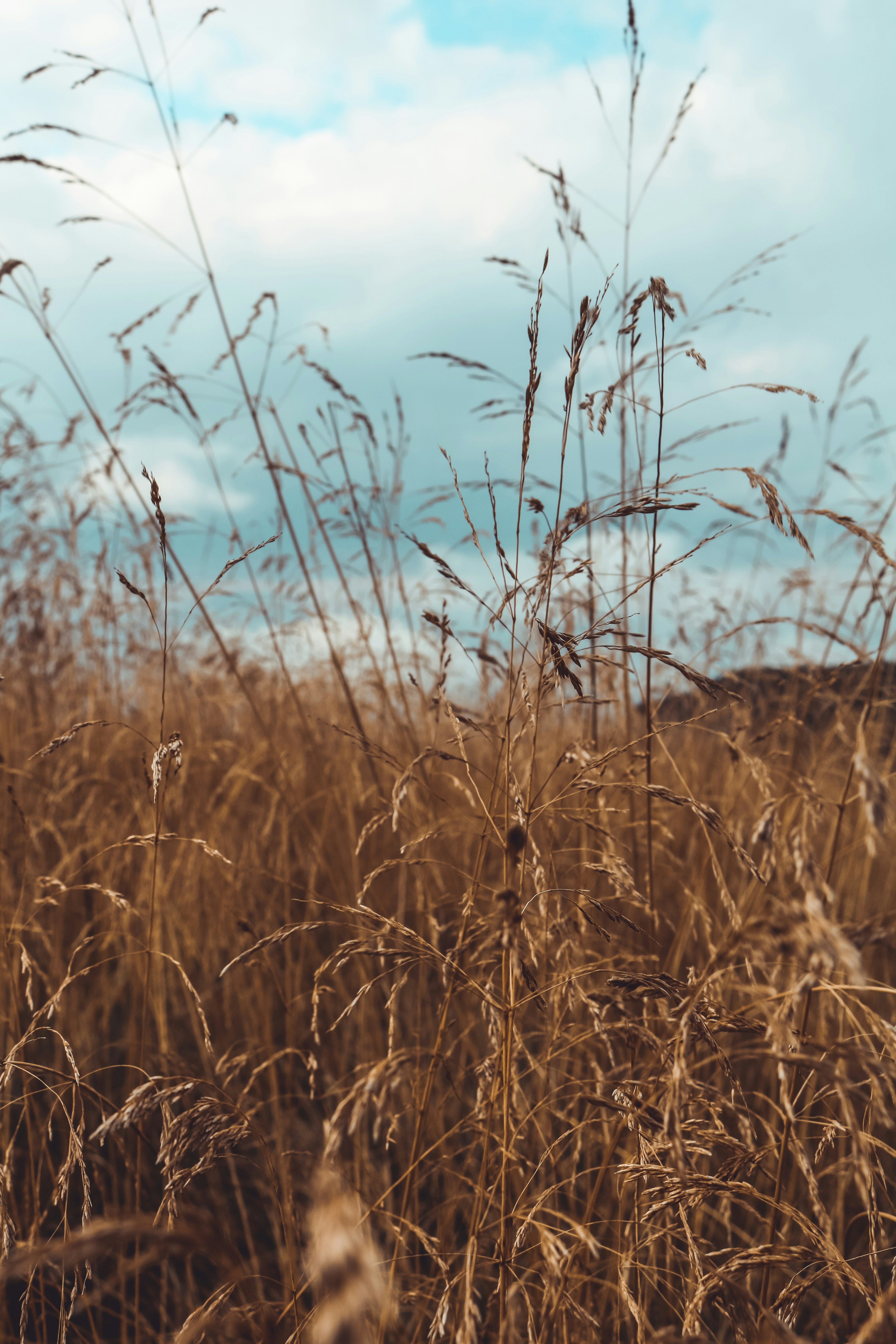 Photo by emilia_morariu