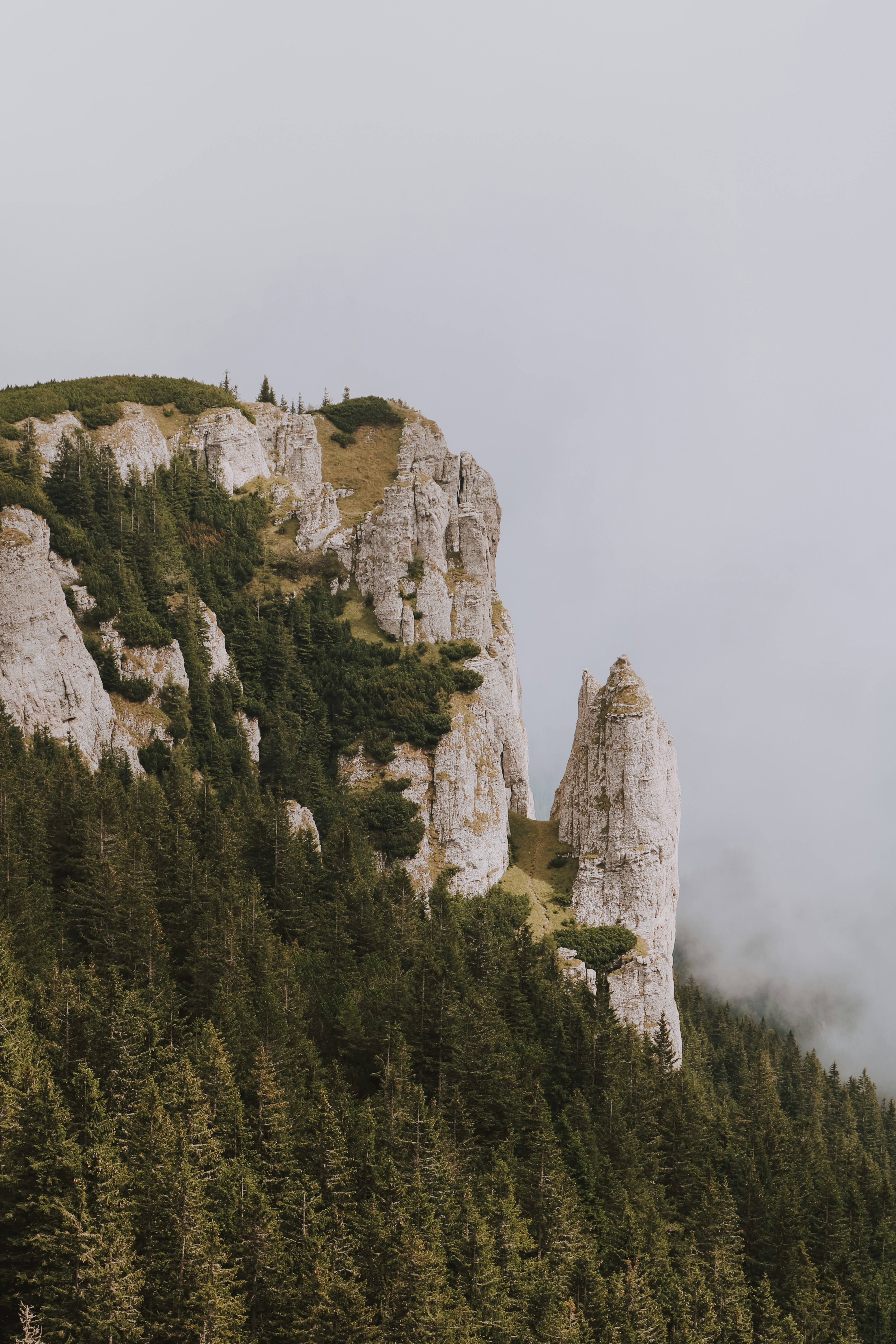 Photo by emilia_morariu