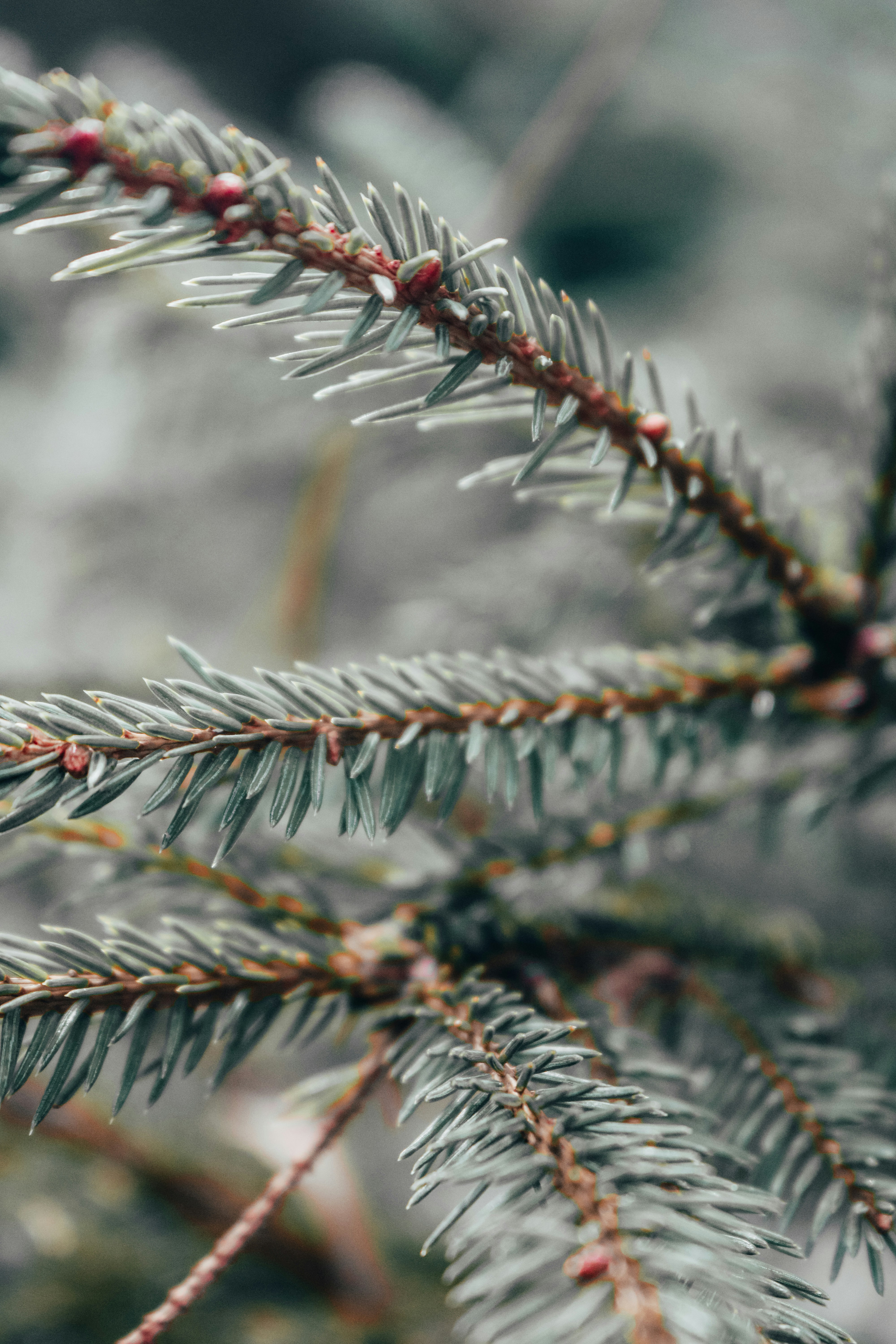 Photo by emilia_morariu