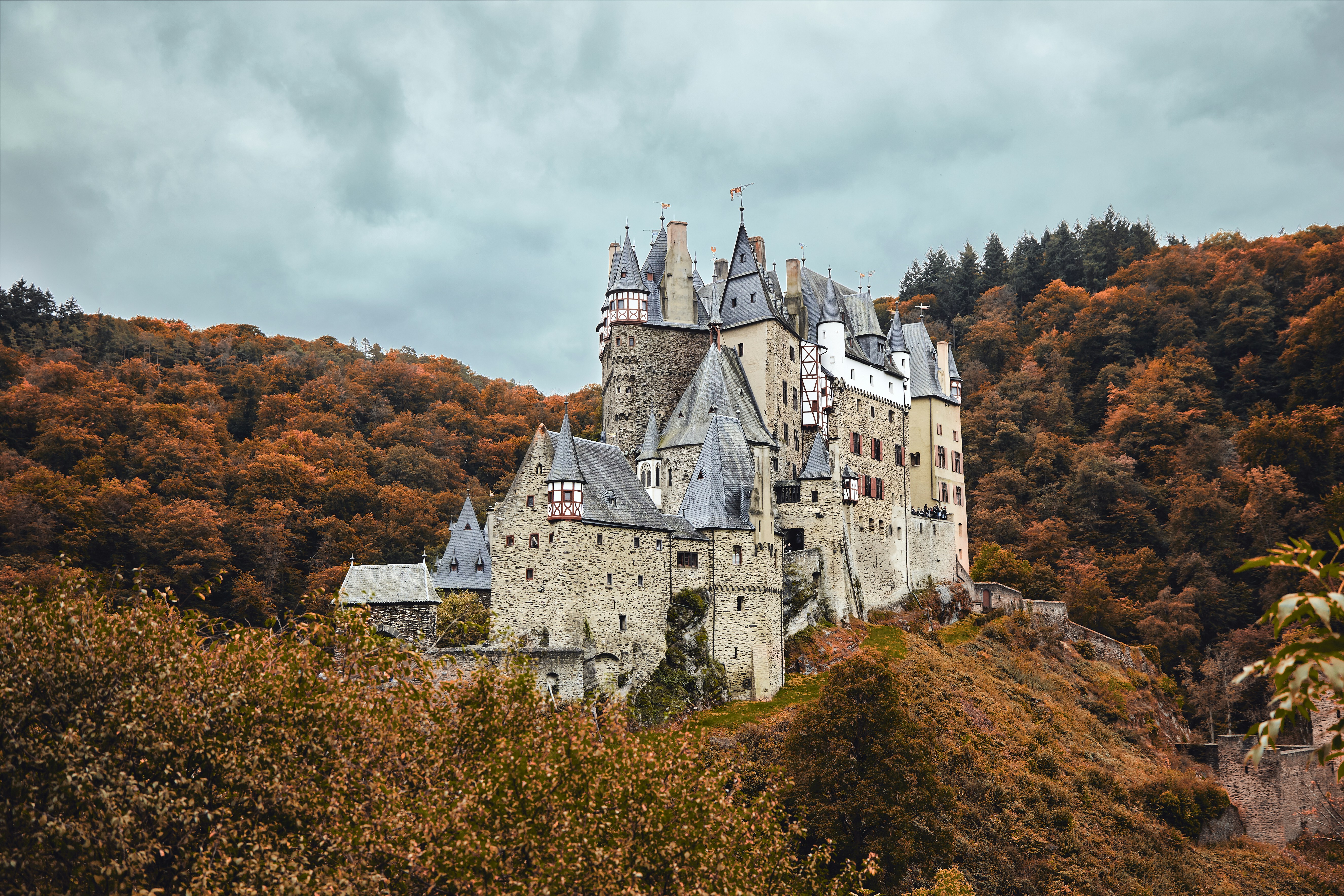 brown castle surrounded by trees