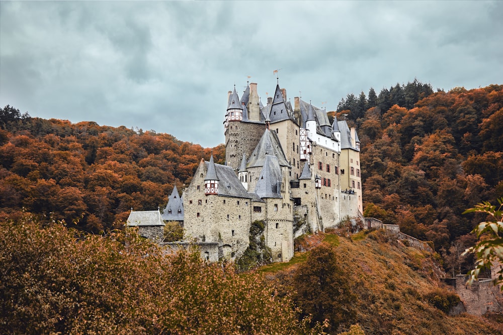 brown castle surrounded by trees