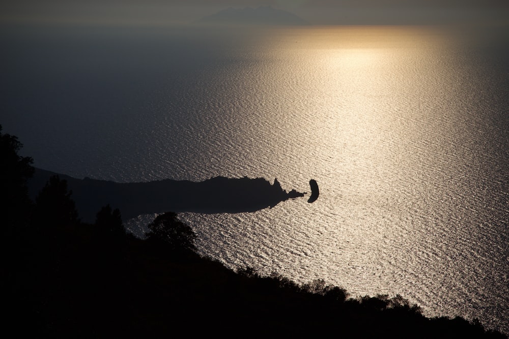 a bird flying over a body of water