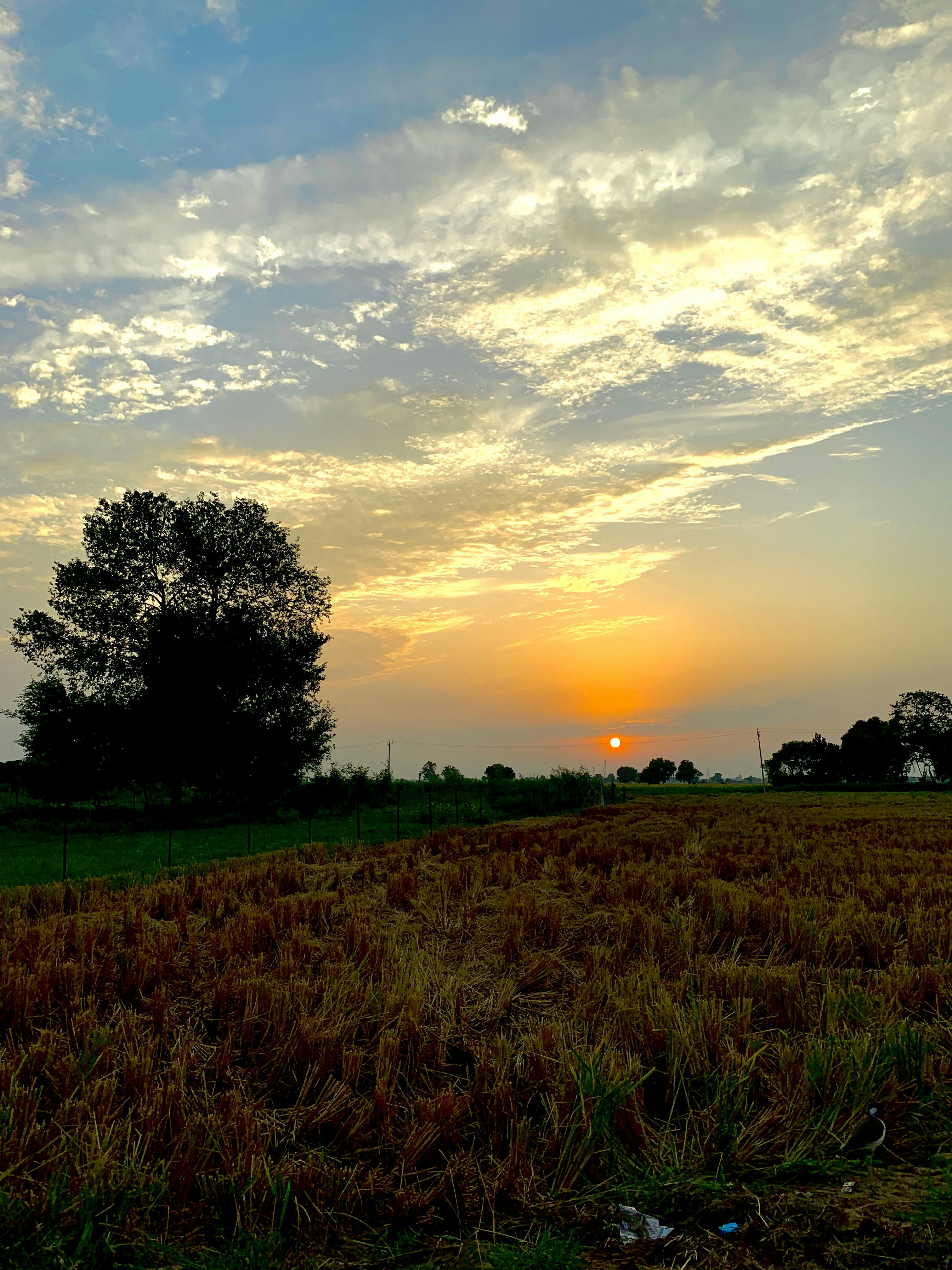 Photo by tarunkathuria