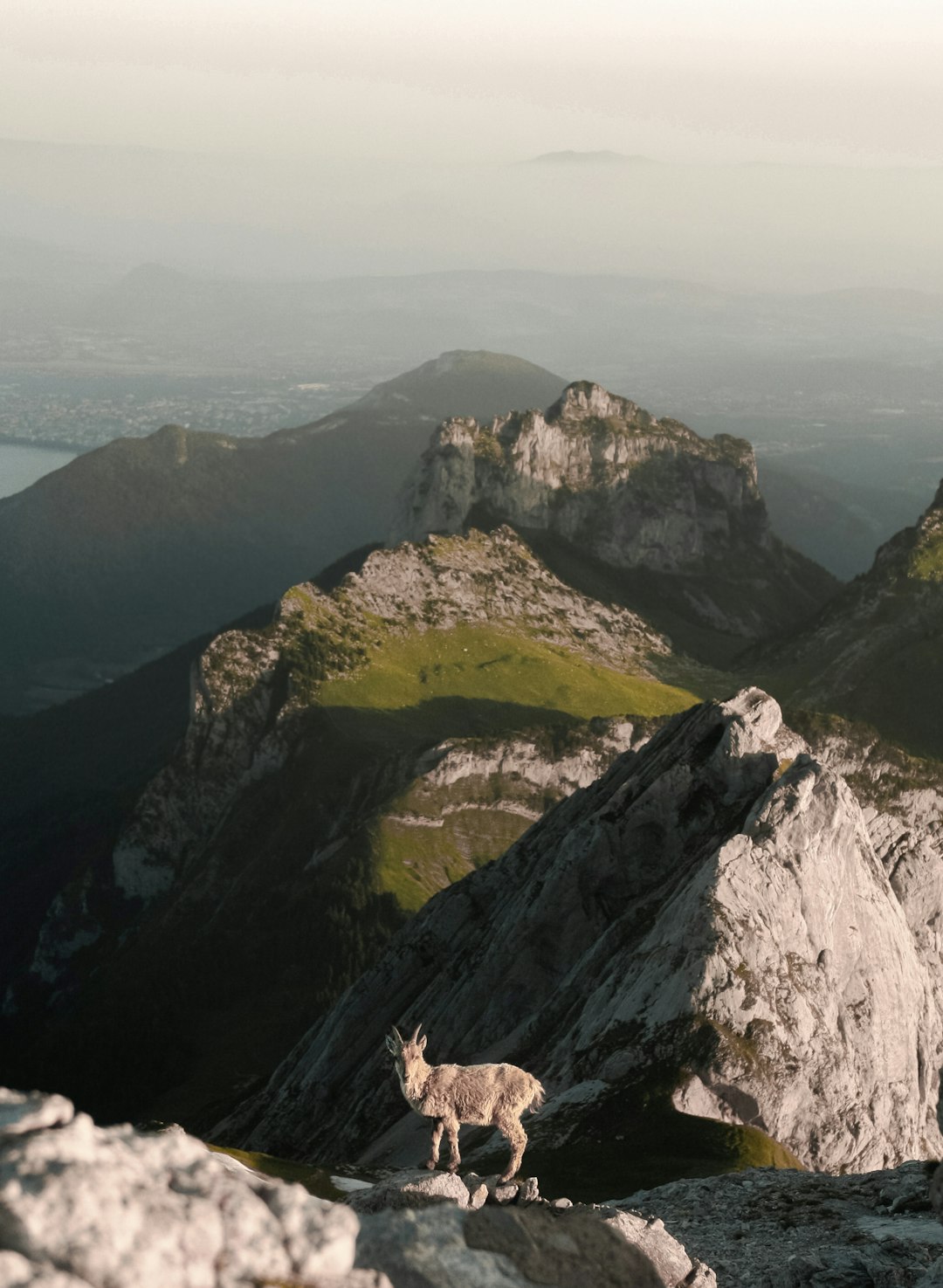 Hill photo spot Annecy Refuge Robert Blanc