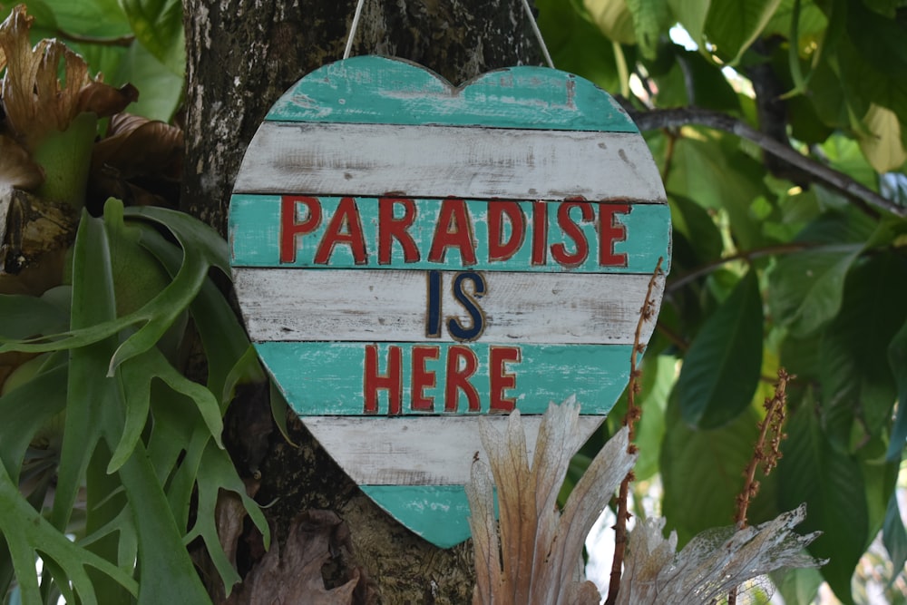 green and white paradise is here wooden signage