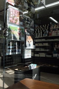 A store window display featuring various wall calendars with dog images, including posters showcasing Shiba Inu dogs. The background shows shelves filled with books, suggesting a bookstore or stationery shop setting.