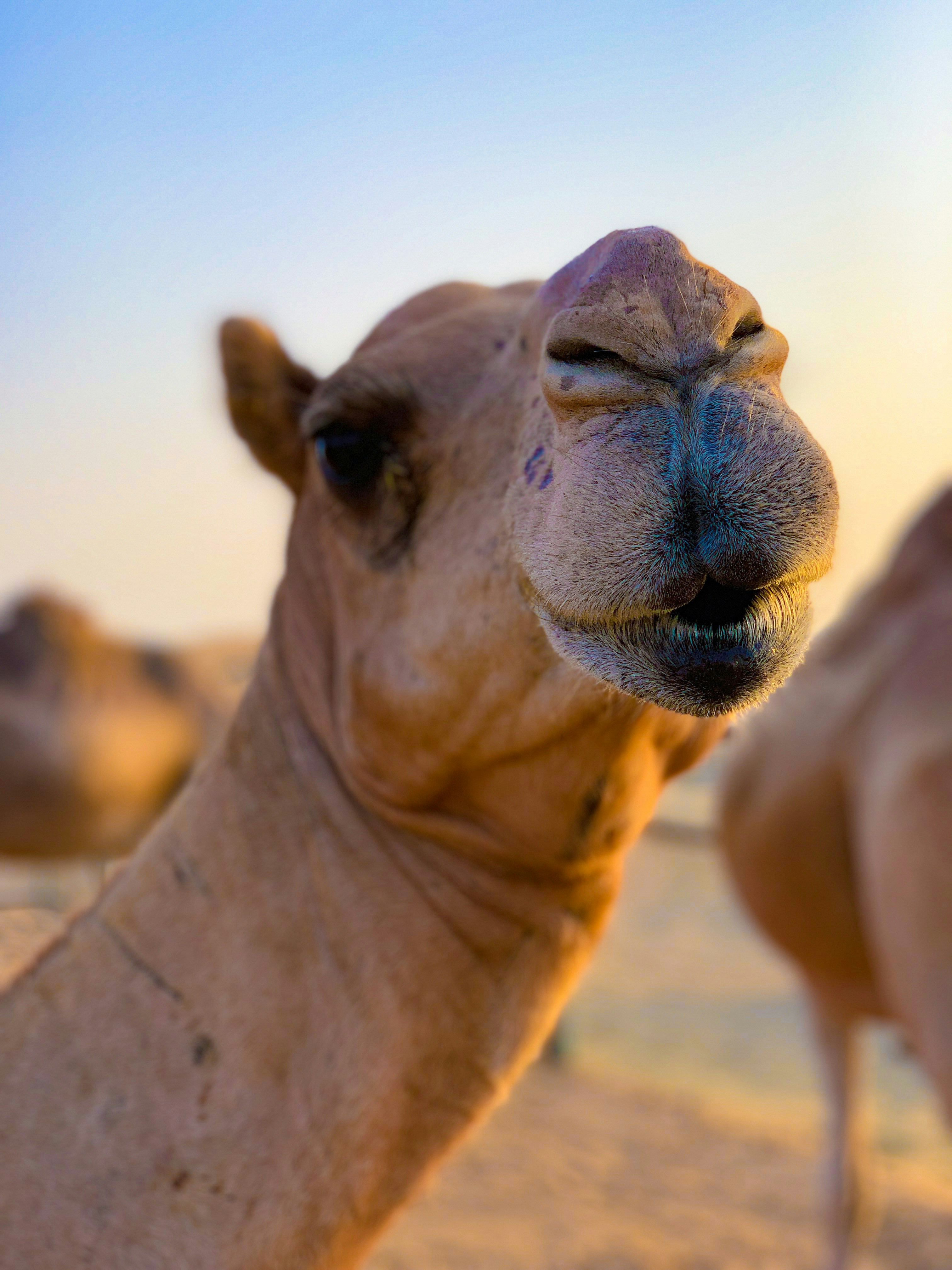 Photo by khyatitrehan