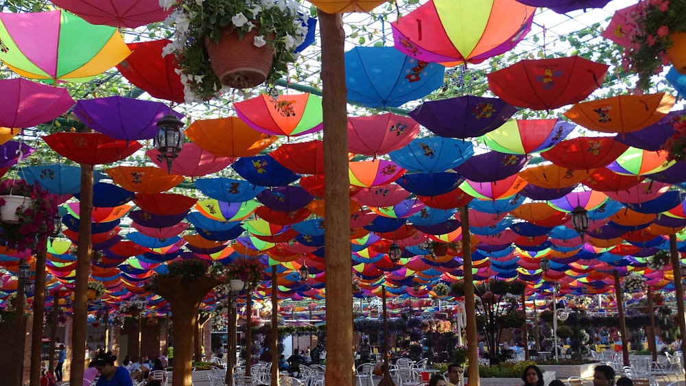 umbrellas hang above