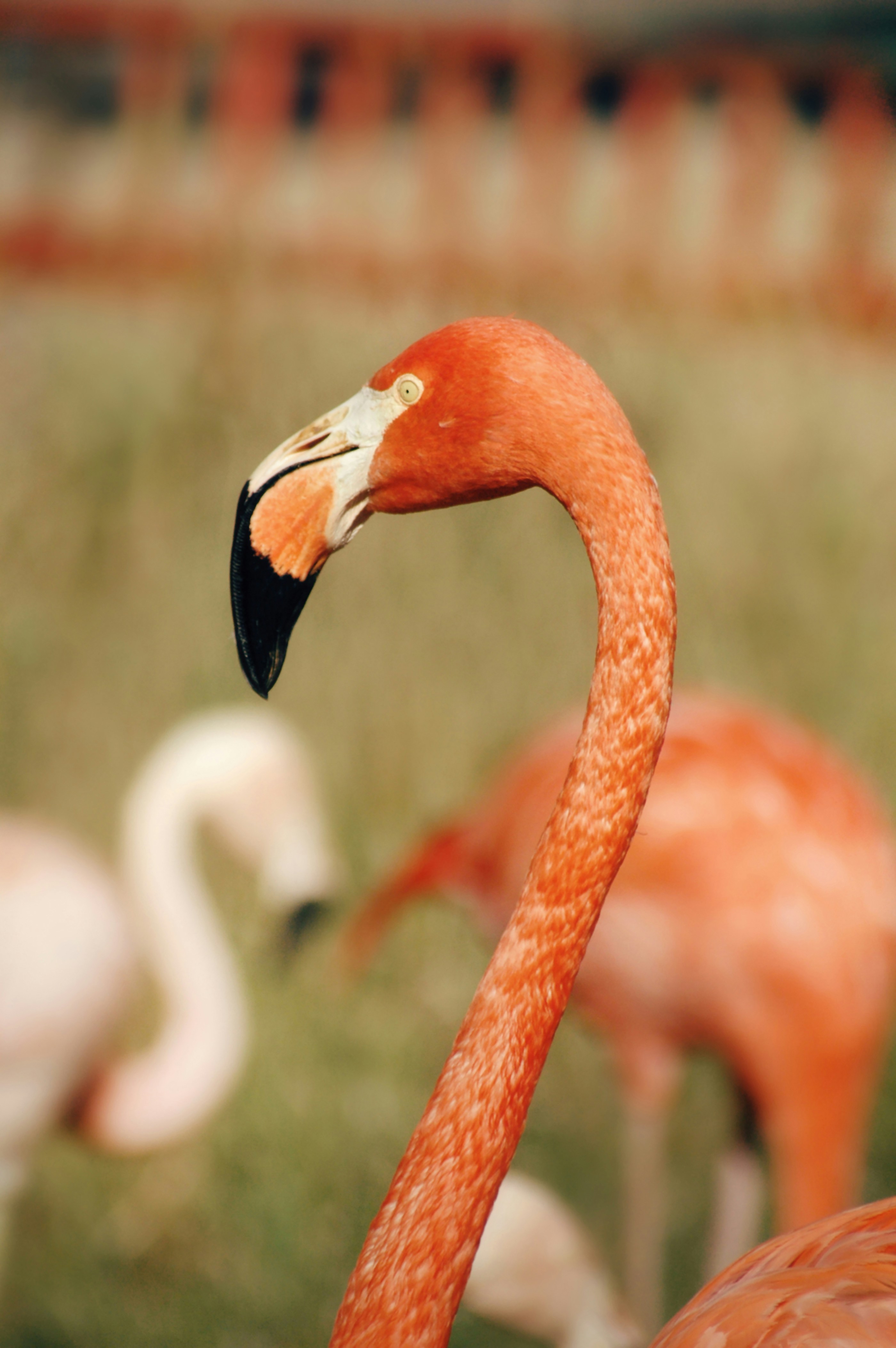 Photo by jentheodore