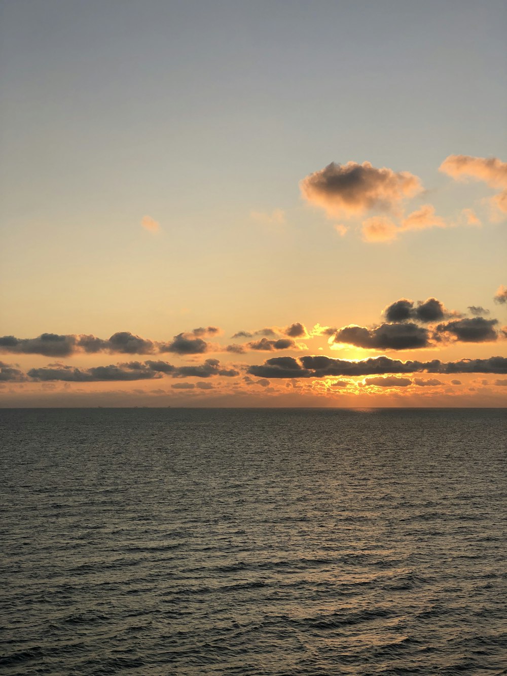 clam sea during golden hour