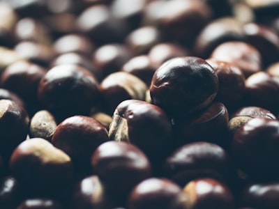 bunch of brown peanut chestnuts google meet background