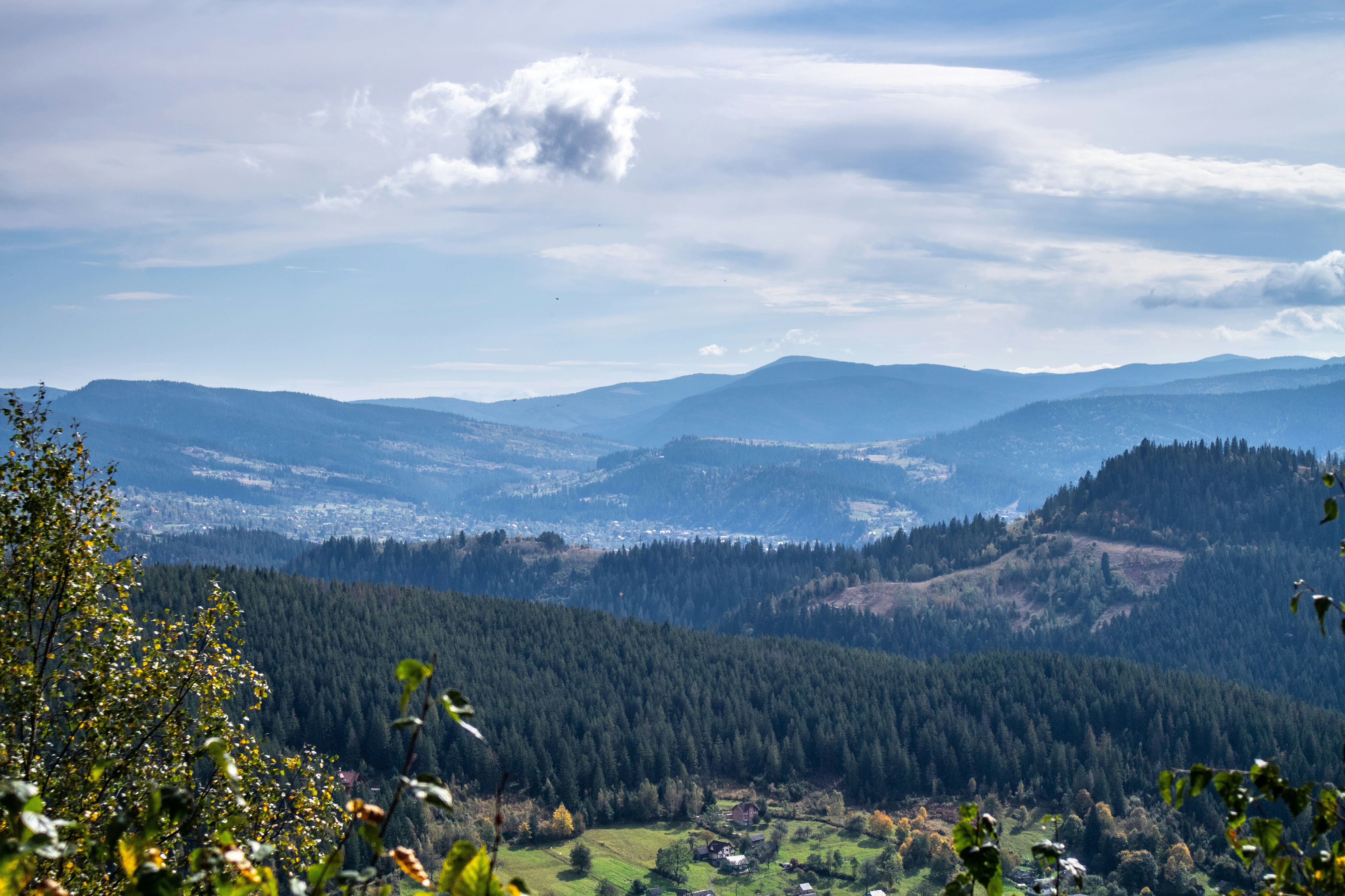 Photo by serhiy_raskoley