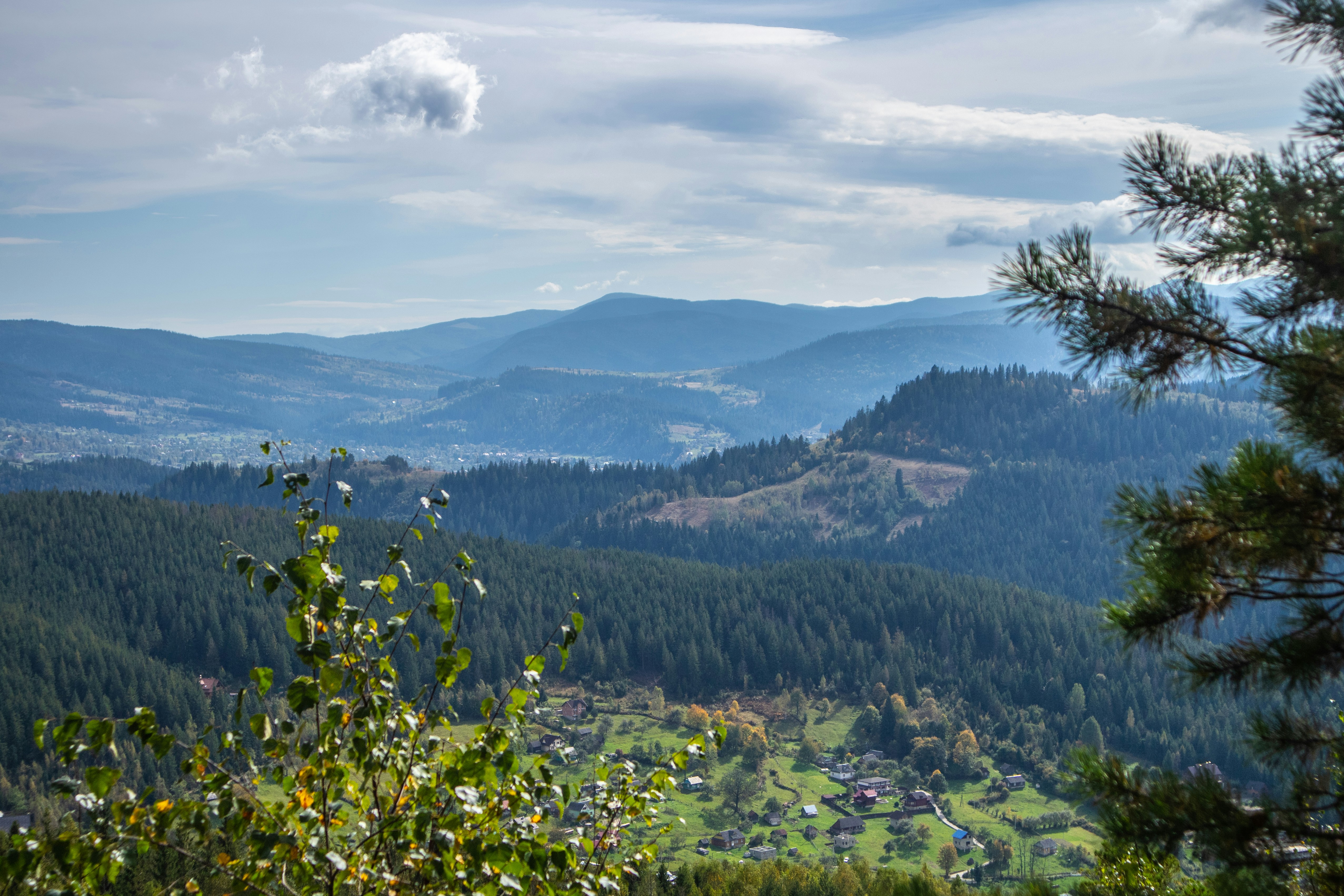 Photo by serhiy_raskoley