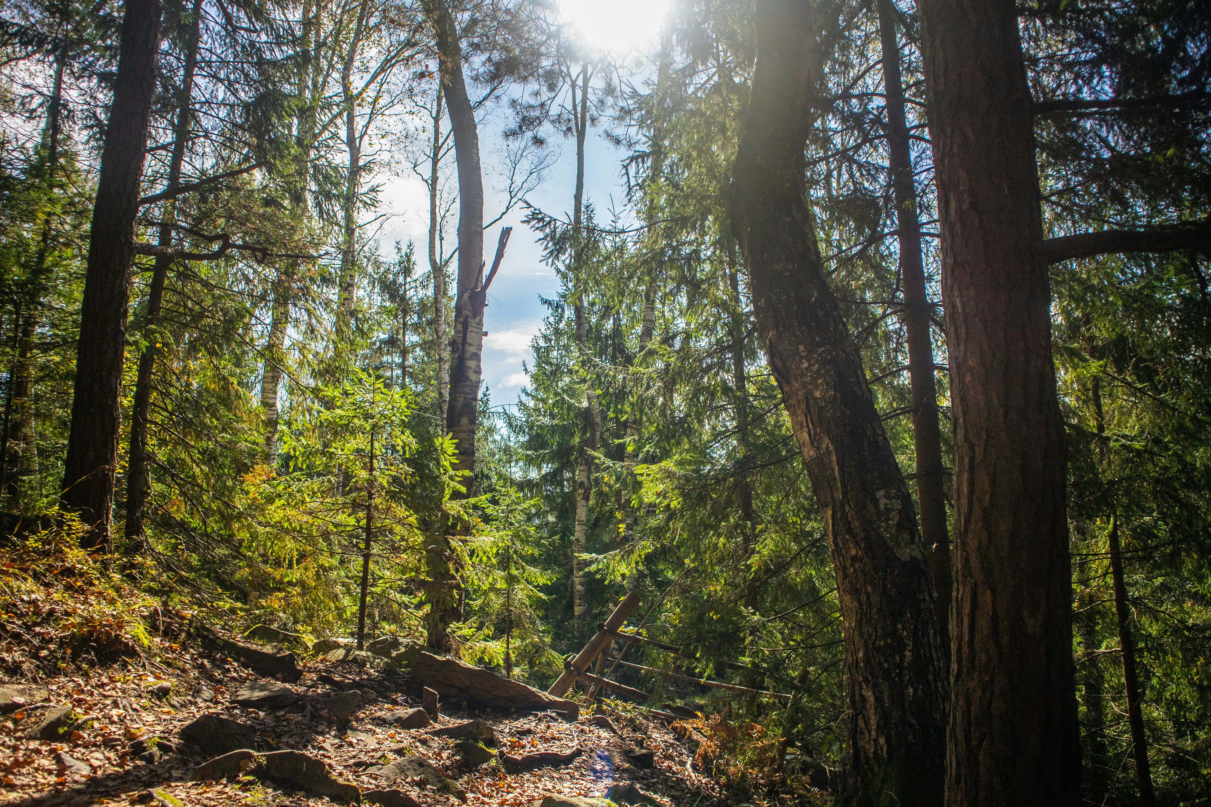 Photo by serhiy_raskoley