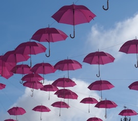 maroon umbrella lot hanging during daytime