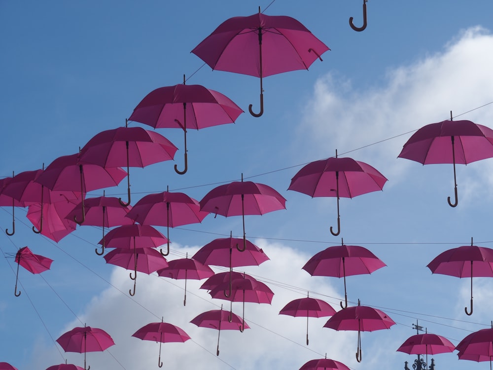maroon umbrella lot hanging during daytime