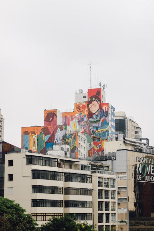 toile mural painting on concrete high-rise buildings in Museum of Art of São Paulo Assis Chateaubriand Brasil