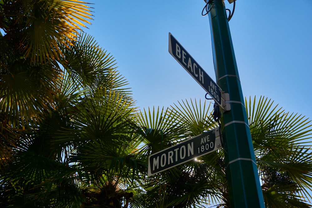 blue road signage near trees