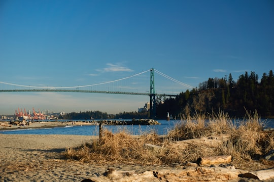 green suspension bridge in Lions Gate Bridge Canada