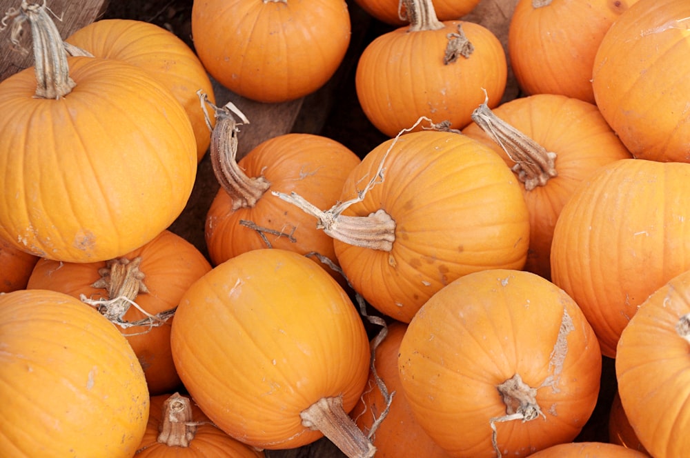 citrouilles à l’orange