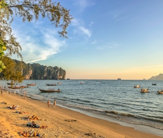 landscape photography of people in the beach