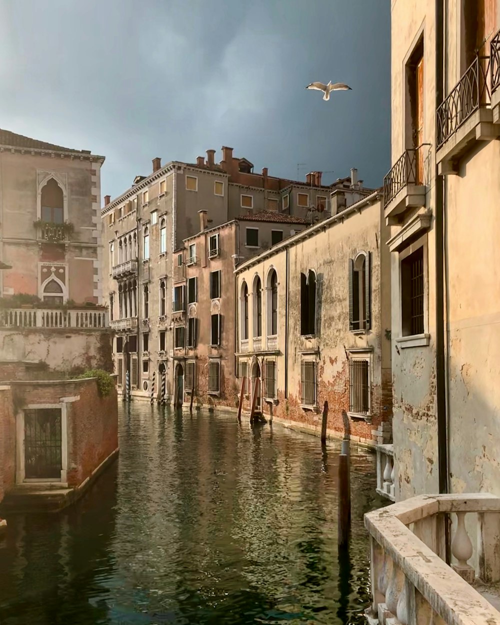 river between buildings during daytime photo