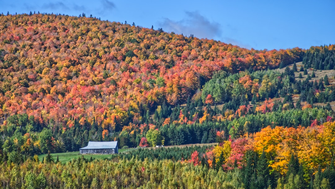 photo of Notre-Dame-des-Bois Nature reserve near Parc national du Mont-Mégantic