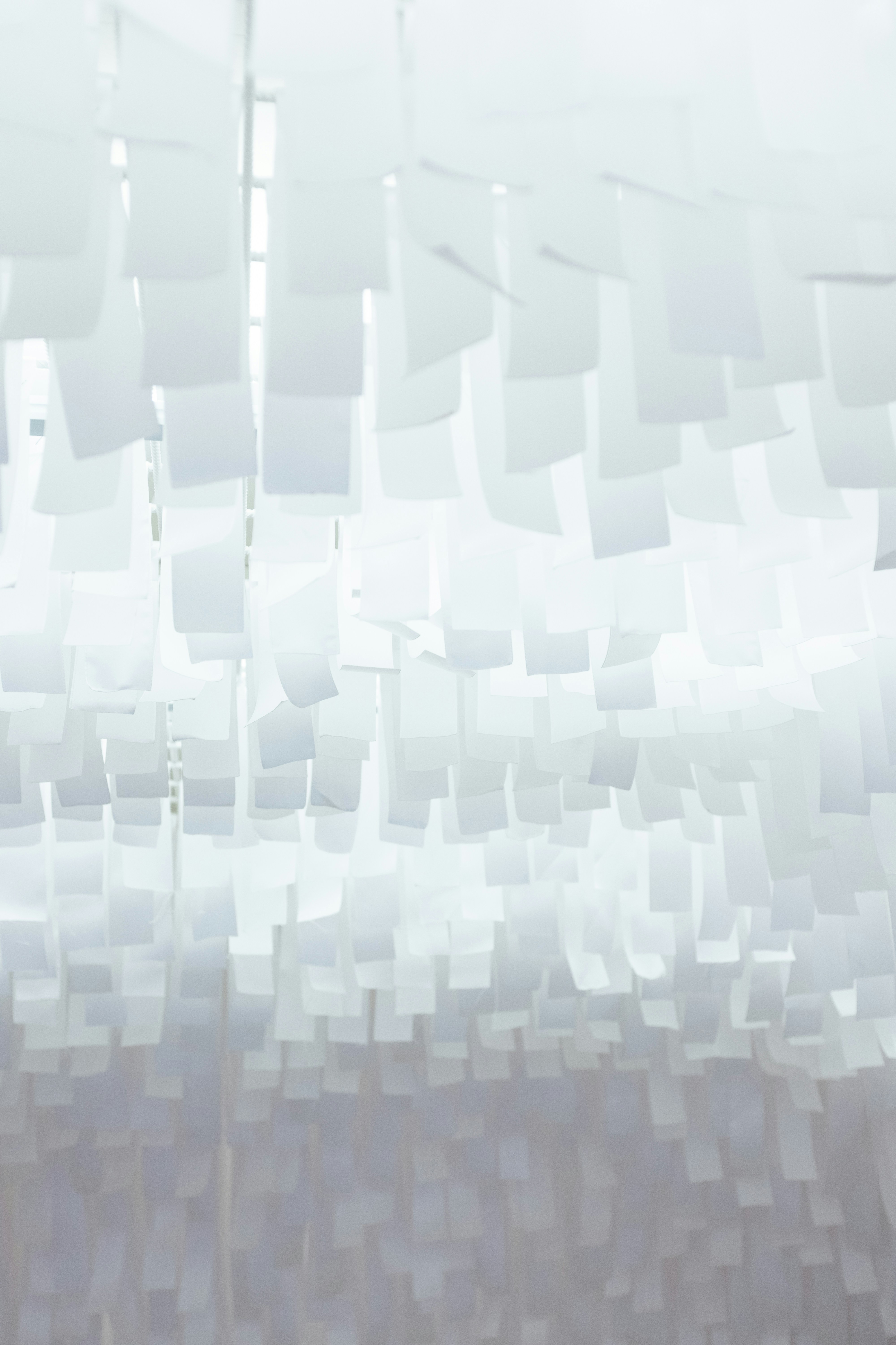 Photo by bernardhermant