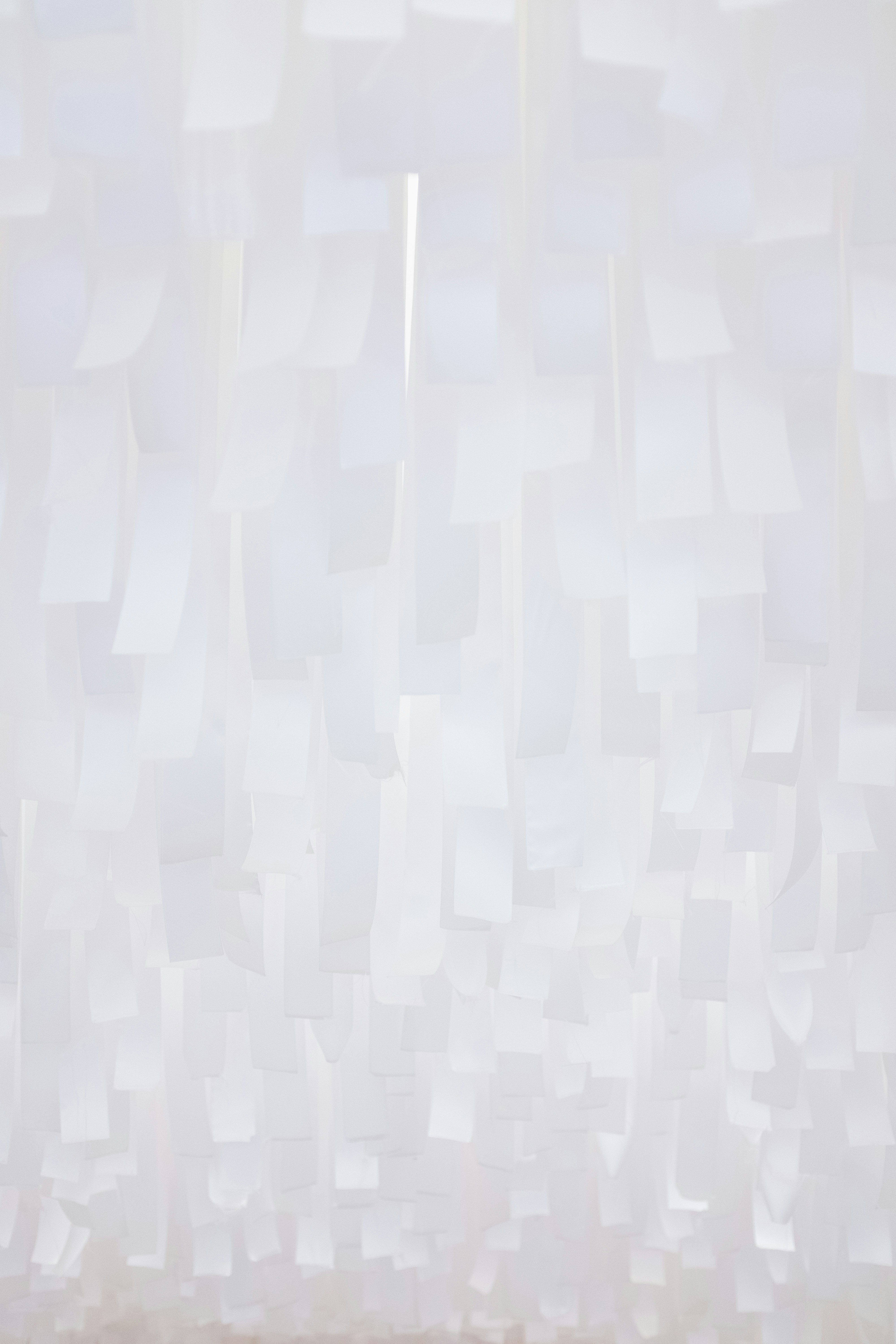 Photo by bernardhermant