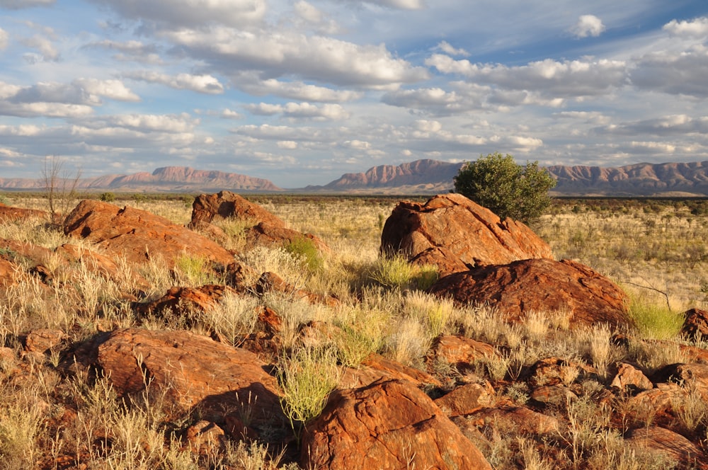 brown rock formations in green field under white and blue skies during daytime